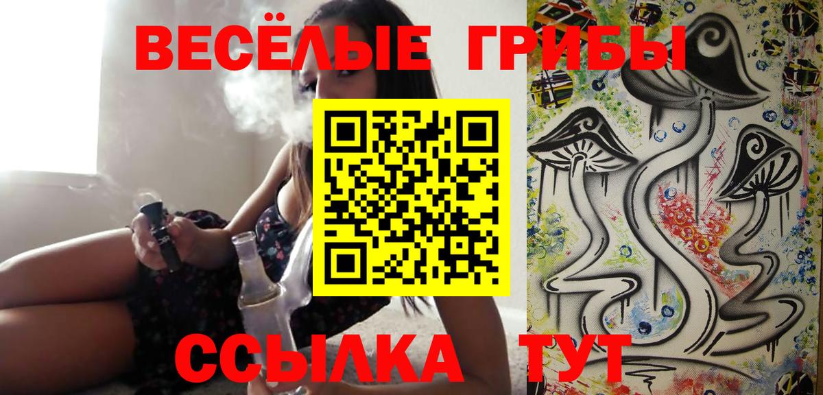 Псилоцибиновые грибы Magic Shrooms Протвино